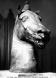 Carafa: Bronze horse's head from the