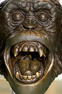 Chimp: Bronze sculpture of Chimpanzee head