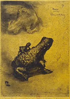 Toad: Bronze toad