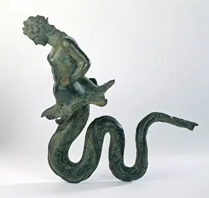 Donor: Bronze tritonide
