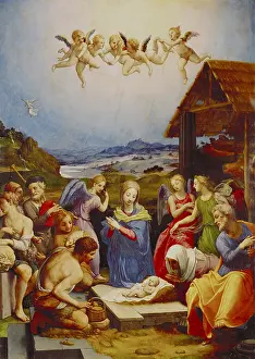 Bronzino: Bronzino, Agnolo di Cosi