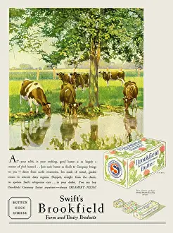 Delineator: Brookfield butter