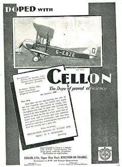 Doped: Brookland's Moths Are Doped With Cellon (G-EBZE)