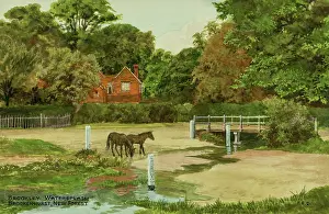 Brockenhurst: Brookley Watersplash, Brockenhurst, New Forest, Hampshire