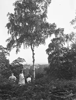 Broomfield: Broomfield Road woods looking towards Bexley