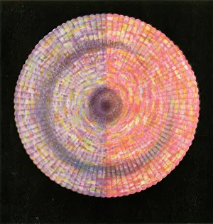 Chakras: The Brow Chakra