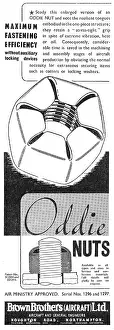 Oddie: Brown Brothers Oddie Nuts