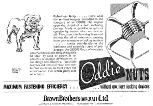 Oddie: Brown Brothers Oddie Nuts