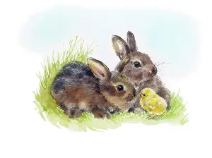 Bunnies: Two brown bunnies with a yellow chick