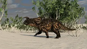 Einiosaurus: Brown Einiosaurus in a desert environment