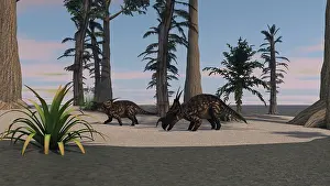 Einiosaurus: Two brown Einiosaurus dinosaurs in a prehistoric environment