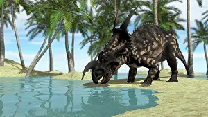 Riverbed: Brown Einiosaurus drinking from shallow waters