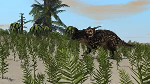 Einiosaurus: Brown Einiosaurus grazing a desert environment