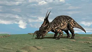 Einiosaurus: Brown Einiosaurus grazing an open field