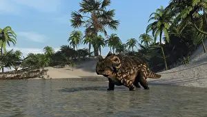 Einiosaurus: Brown Einiosaurus in shallow water