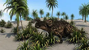 Einiosaurus: Brown Einiosaurus in a tropical setting