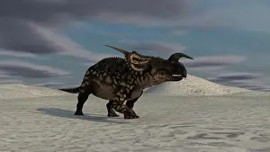 Einiosaurus: Brown Einiosaurus walking across a barren landscape