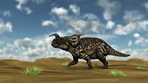 Einiosaurus: Brown Einiosaurus walking across a barren landscape