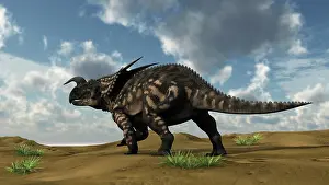 Einiosaurus: Brown Einiosaurus walking across a barren landscape