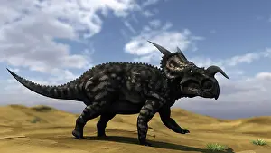 Einiosaurus: Brown Einiosaurus walking across a barren landscape