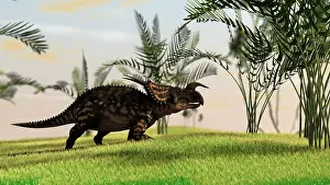 Einiosaurus: Brown Einiosaurus walking in a field