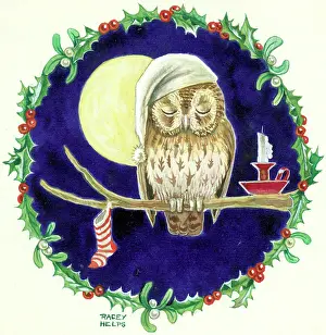 Brown Owl's Christmas Eve - with stocking