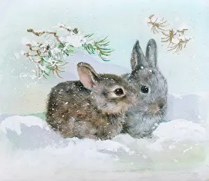 Matthes: Two brown rabbits in the snow