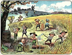 Sheaf: Brownies harvesting the cornfields