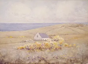 Islandmagee: Brown's Bay, Islandmagee