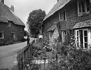 Abutment: BROWNSTONE THATCHES