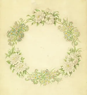 Bauer: Brunnera macrophylla and Rosa, white roses