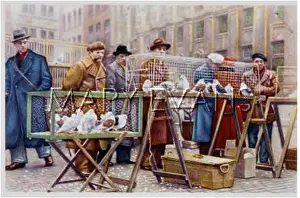 Fanciers: BRUSELLS BIRD MARKET