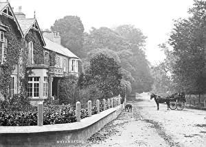 Trap: Bryansford Village, Co Down