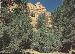 Anne Burton: Bryce Canyon - Utah