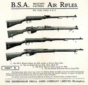 Territorial: B.S.A. Military Pattern Air Rifles