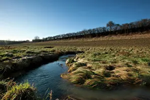 Impossible: The Buanfe River at Charpentry - Argonne