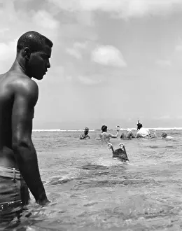 Tobago: BUCCOO REEF SNORKELLERS
