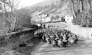 Buckden: Buckden, the Village c1955