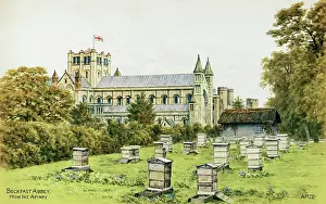 Buckfast: Buckfast Abbey and Apiary, Dartmoor, Devon
