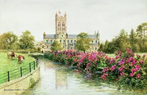 Buckfast: Buckfast Abbey, north view, Dartmoor, Devon