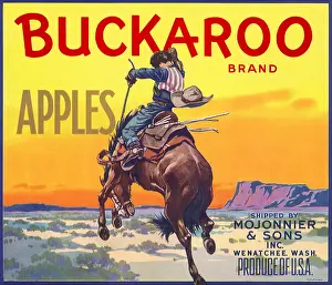Bronco: Bucking Bronco