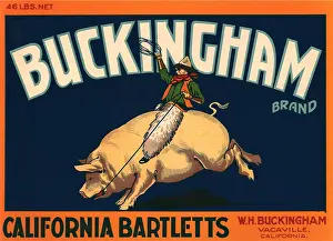Leggings: Bucking Ham