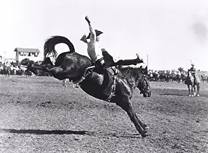 Bronco: Bucking the trend