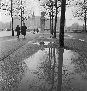 Puddles: Buckingham Palace