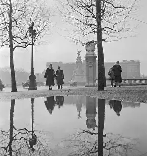 Puddles: Buckingham Palace