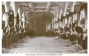 Mews: BUCKINGHAM PALACE STABLE