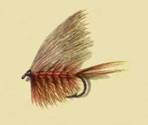 Atherton: Bucktail Caddis Fly