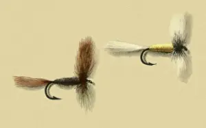 Atherton: Bucktail Wulff Flies