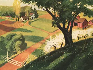Bucolic: Bucolic Farm Scene