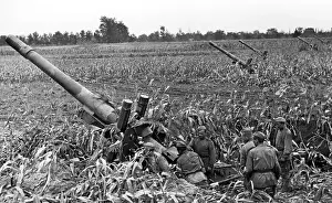 Ukranian: Budapest Offensive
